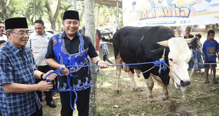 Bantuan Sapi Qurban
