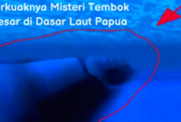 Berita Viral : Terkuaknya Misteri Tembok Besar di Dasar Laut Papua