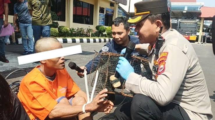 Pencuri Tambak Kepiting di Bengkulu, Hasilkan Rp 3,7 Juta dalam Satu Kali Aksi