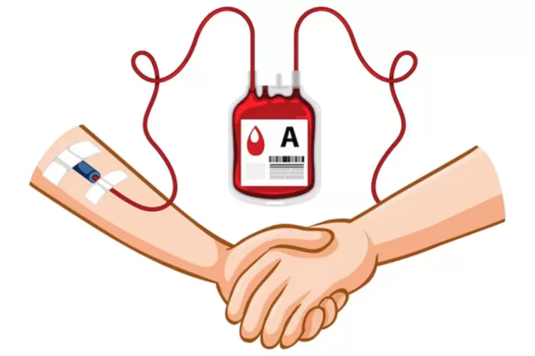 Tujuan Medis Donor Darah Bagi Manusia! Tujuan Medis Donor Darah Bagi Manusia!