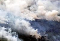 Karhutla Merebak di Arisan Jaya, Ogan Ilir, Sumatera Selatan