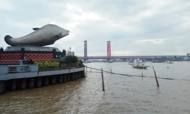 Ikan Belida Sumatera Selatan Diambang Kepunahan
