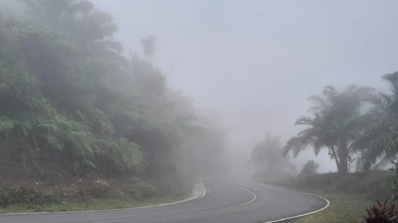 Kabut Asap Selimuti Bengkulu Kiriman Dari Tetangga