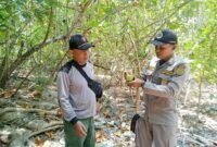 BKSDA Bengkulu dan Lampung Terima 5 Hewan Dilindungi