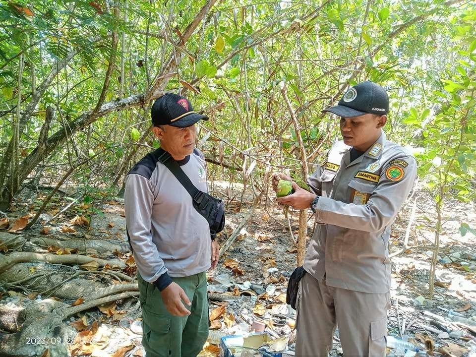 BKSDA Bengkulu dan Lampung Terima 5 Hewan Dilindungi