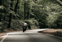 NS Hampir Dibegal di Jalan Lintas Bengkulu-Lubuk Linggau, Pemuda Lembak Apresiasi Warga dan Kepolisian