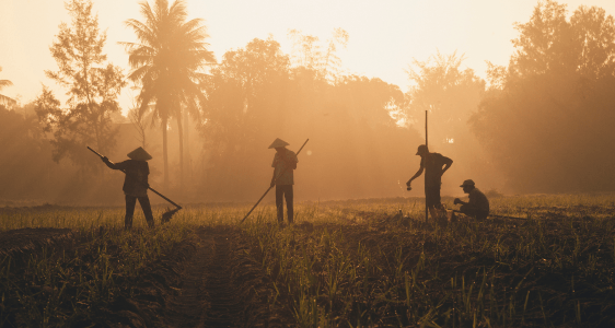 Tips Menabung untuk Petani