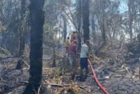 Damkar Kabupaten Rejang Lebong Tingkatkan Kewaspadaan Karhutla