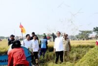 Presiden Jokowi Tegaskan Pangan Nasional Masih Kondusif
