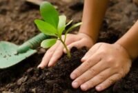 Krisis Iklim dan Peran Generasi Muda