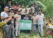 Desa Tanjung Beringin Laksanakan Titik Nol Pembangunan Sarana Air Bersih