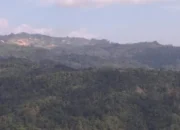 Kepala DLHK Bengkulu Ajak Warga Jaga Kelestarian Hutan