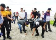 Tegas! Wali Kota Minta Lapak Tak Layak di Pantai Panjang Dibongkar, Jangan Ganggu View Pantai