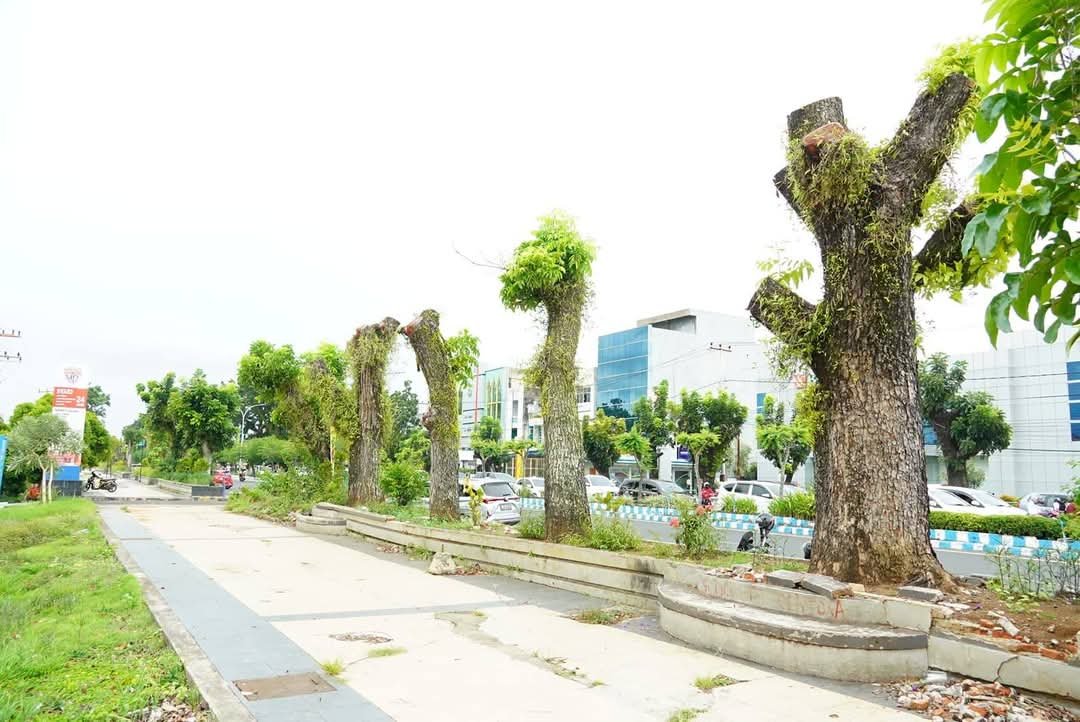 Rp10,8 Miliar Digelontorkan! Jalan S. Parman OTW Jadi “Malioboro”-nya Bengkulu