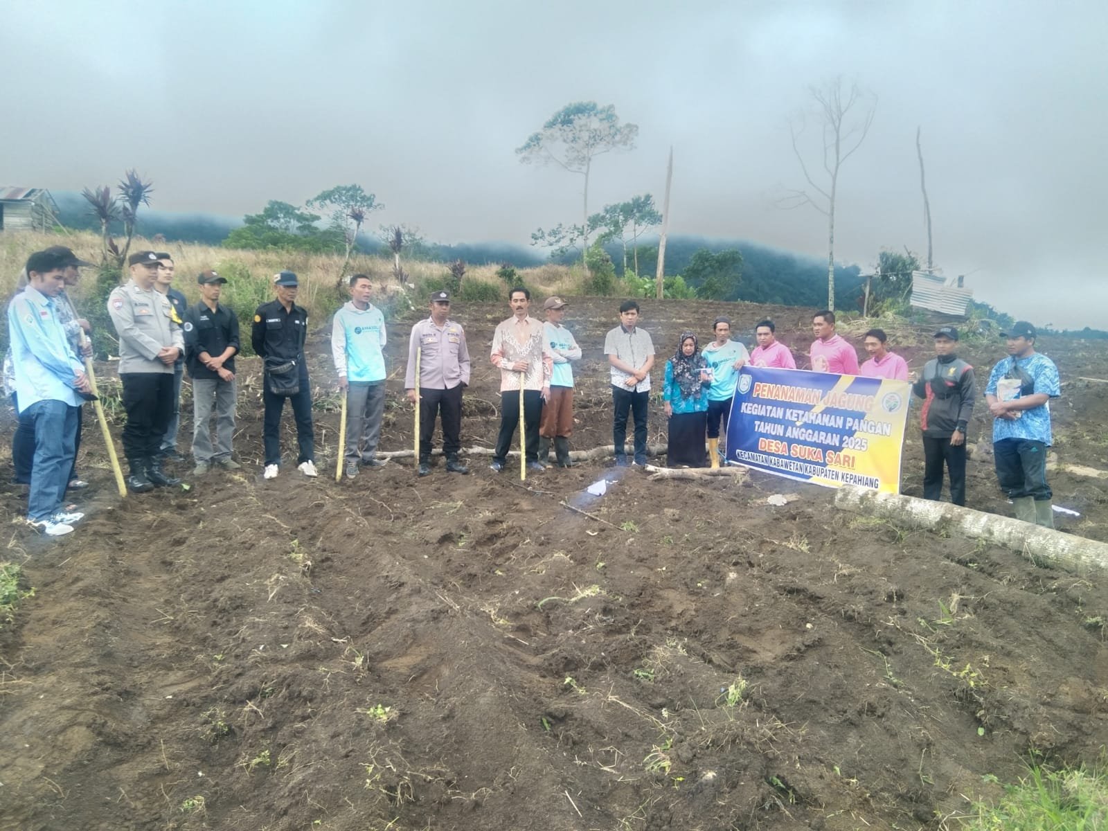 Dukung Program Presiden RI, Pemdes Suka Sari Tanam Jagung Serentak