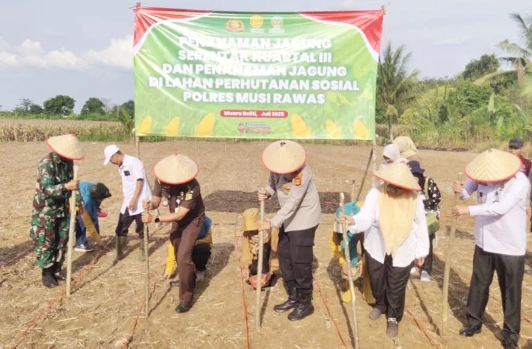 Polres Musi Rawas Gelar Penanaman Jagung Serentak untuk Dukung Ketahanan Pangan Nasional