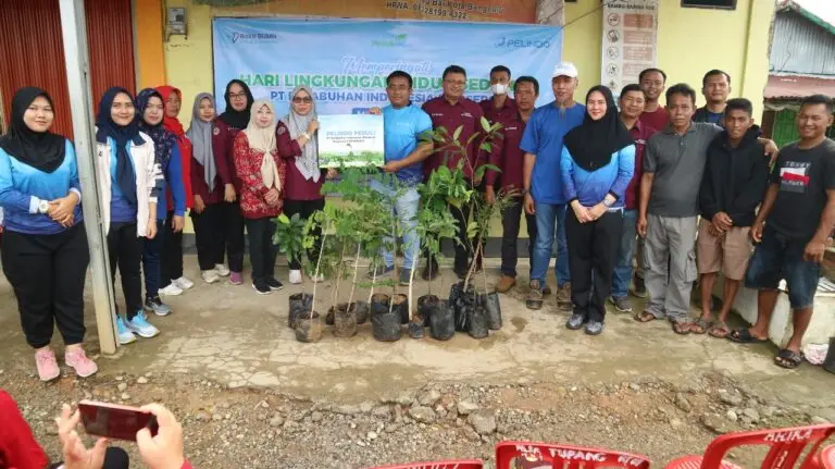 Pelindo Regional 2 Bengkulu Tanam 450 Pohon di Wisata Mangrove Pulau Baai