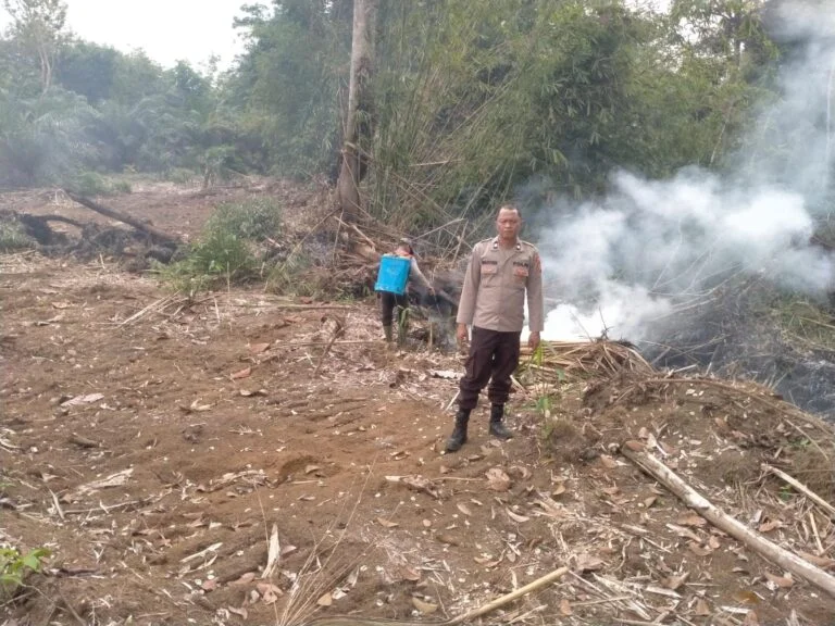 Tim Gabungan Berhasil Padamkan Kebakaran Hutan dan Lahan di Lubuk Linggau Utara Tim Gabungan Berhasil Padamkan Kebakaran Hutan dan Lahan di Lubuk Linggau Utara