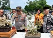 Ratusan Bonsai Pajang Pesona di Lubuk Linggau, Wawako Rustam: Filosofinya Mengajarkan Kesabaran Ratusan Bonsai Pajang Pesona di Lubuk Linggau, Wawako Rustam: Filosofinya Mengajarkan Kesabaran