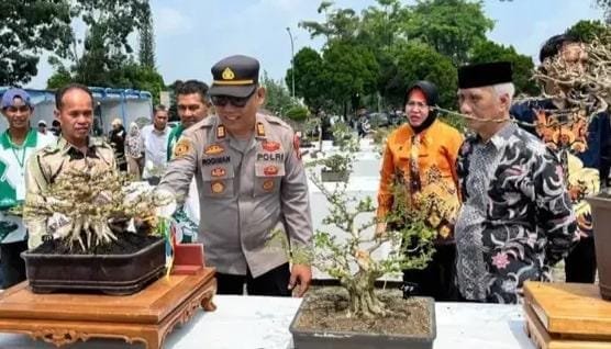 Ratusan Bonsai Pajang Pesona di Lubuk Linggau, Wawako Rustam: Filosofinya Mengajarkan Kesabaran