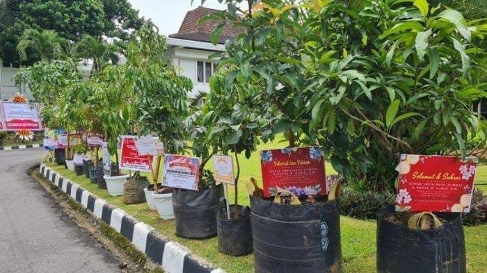 Inovasi Baru NR Florist Linggau, Ucapan Spesial Lewat Bibit Tanaman Buah