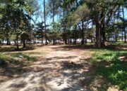 Lokasi Jogging Favorit di Kota Bengkulu