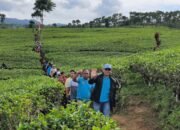 Bupati Kepahiang Ajak Forkopimda Hiking, Sekaligus Angkat Wisata Kabawetan