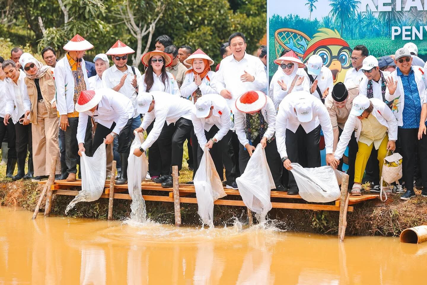 Produktivitas Jagung Bengkulu Lampaui Nasional, Pemerintah Luncurkan Program Ketahanan Pangan