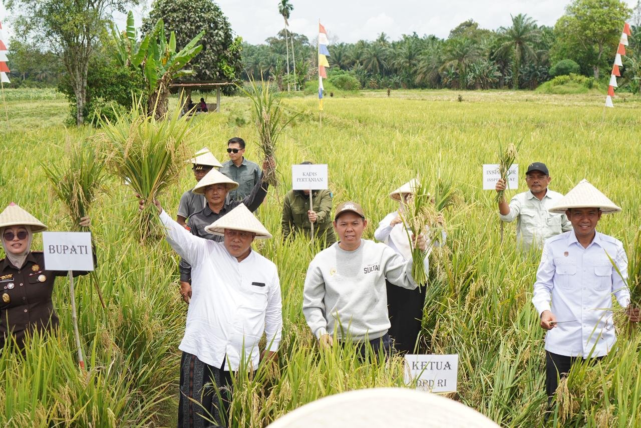 Sultan B Najamudin Turun ke Sawah, Serahkan Alsintan dan Benih Jagung untuk Petani Bengkulu