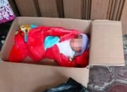 Geger! Warga Kepahiang Temukan Bayi Perempuan di Dalam Kardus