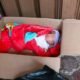 Geger! Warga Kepahiang Temukan Bayi Perempuan di Dalam Kardus