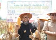 Desa Tanah Hitam Sabet Juara SADESAHE, Bukti Program Jagung Dorong Ketahanan Pangan Bengkulu