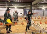 Prajurit Brigif TP 88/KBK Laksanakan Pembelajaran dan Pendampingan di Kandang Ayam