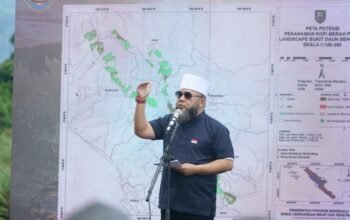 Kopi Merah Putih Diluncurkan, Pemprov Bengkulu Targetkan Petani Kopi Naik Kelas