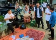 Dinas Ketahanan Pangan Seluma Pantau Harga Sembako di Pasar Tais Dinas Ketahanan Pangan Seluma Pantau Harga Sembako di Pasar Tais
