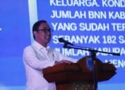 BNN Waspadai Whip Pink, Penyalahgunaan Gas N2O Disebut Marak di Kalangan Remaja