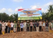 kegiatan penanaman jagung serentak dilaksanakan di Desa Suro, Kecamatan Muara Beliti, Sabtu (7/3/2026) kegiatan penanaman jagung serentak dilaksanakan di Desa Suro, Kecamatan Muara Beliti, Sabtu (7/3/2026)