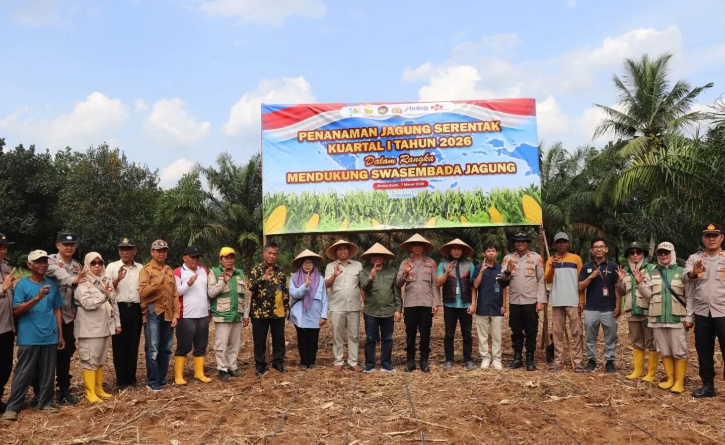 kegiatan penanaman jagung serentak dilaksanakan di Desa Suro, Kecamatan Muara Beliti, Sabtu (7/3/2026)