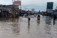BPBD Bengkulu Data Korban Banjir, Ratu Agung Tertinggi BPBD Bengkulu Data Korban Banjir, Ratu Agung Tertinggi