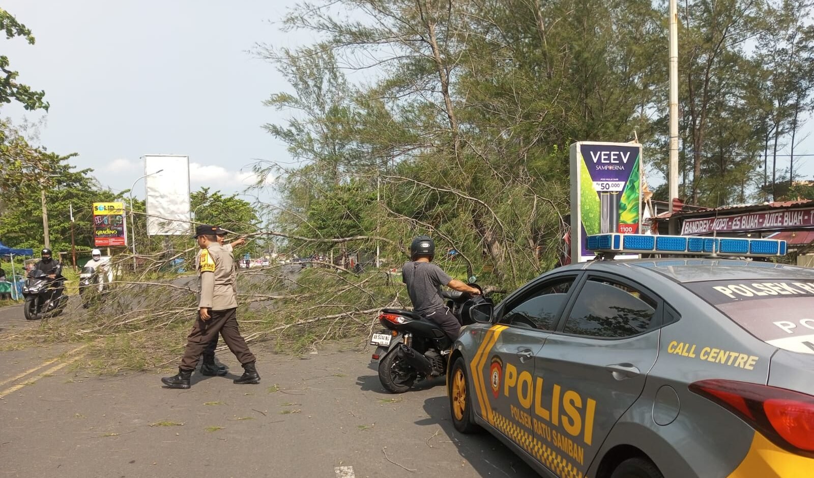 Pemkot Bengkulu Siagakan OPD Antisipasi Cuaca Ekstrem, Pohon Tumbang Pernah Ganggu Lalu Lintas