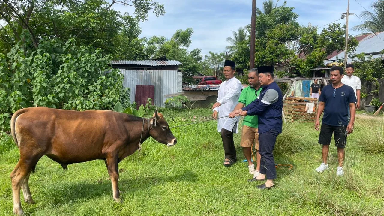 Polresta Bengkulu Salurkan Tiga Sapi Kurban, Distribusi Menjangkau Nelayan hingga KKT Polresta Bengkulu Salurkan Tiga Sapi Kurban, Distribusi Menjangkau Nelayan hingga KKT