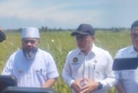 Zulhas Tegaskan Sawah Tak Boleh Alih Fungsi, Wajib Ganti Hingga Tiga Kali Luas