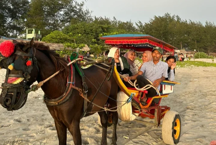 Delman Pantai Panjang Diserbu Wisatawan, Libur Panjang Dongkrak Pendapatan Kusir