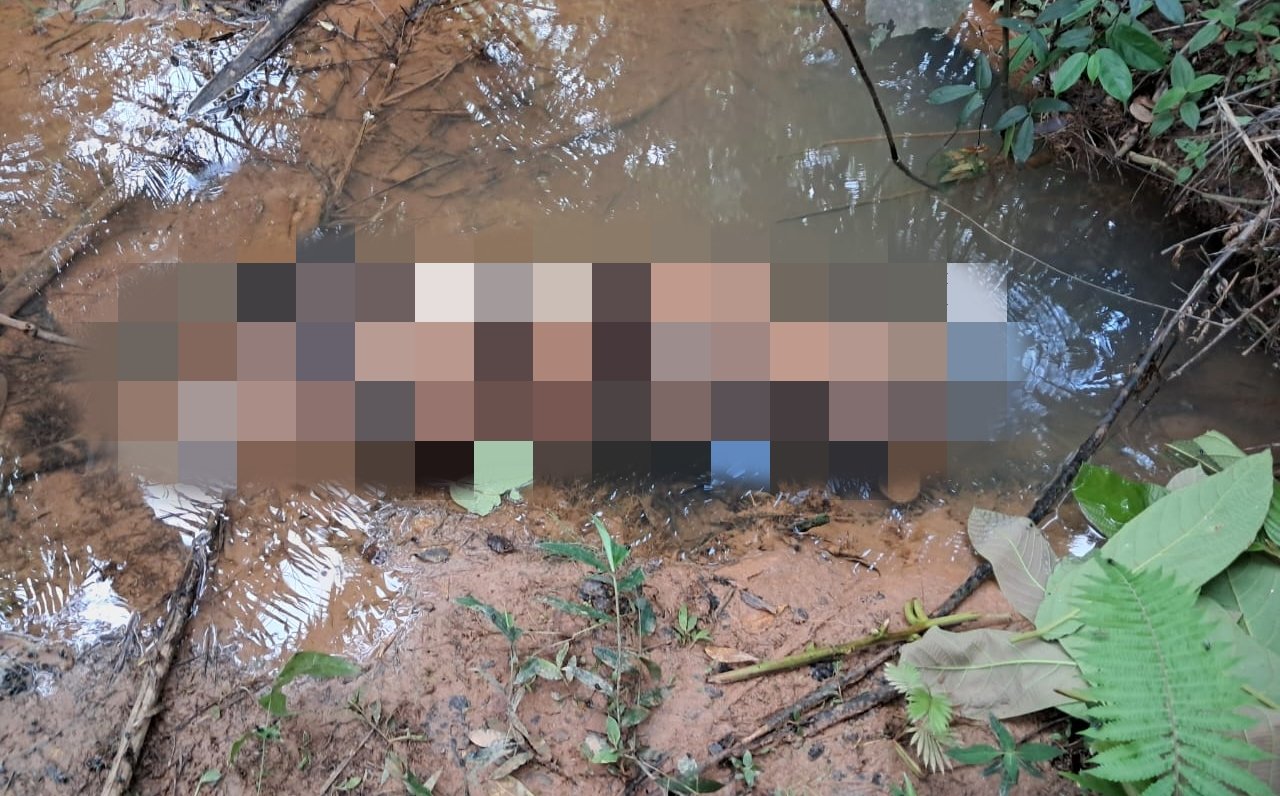Harimau Sumatera Ditemukan Mati di Mukomuko, BKSDA Turun Saat Kasus Gajah Belum Terungkap