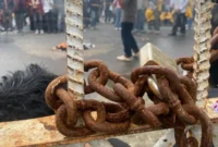 Mahasiswa Segel Gerbang DPRD Bengkulu, Soroti Anggaran Pendidikan dan Nasib Guru