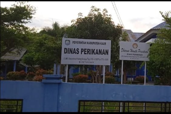 Dinas Perikanan Kaur Mulai Pulihkan Produksi Benih Ikan, Distribusi Dijadwalkan Agustus