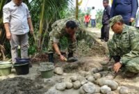 Dandim 0425 Seluma Mulai Pembangunan Jembatan Perintis Garuda, Konektivitas Wilayah Diperkuat