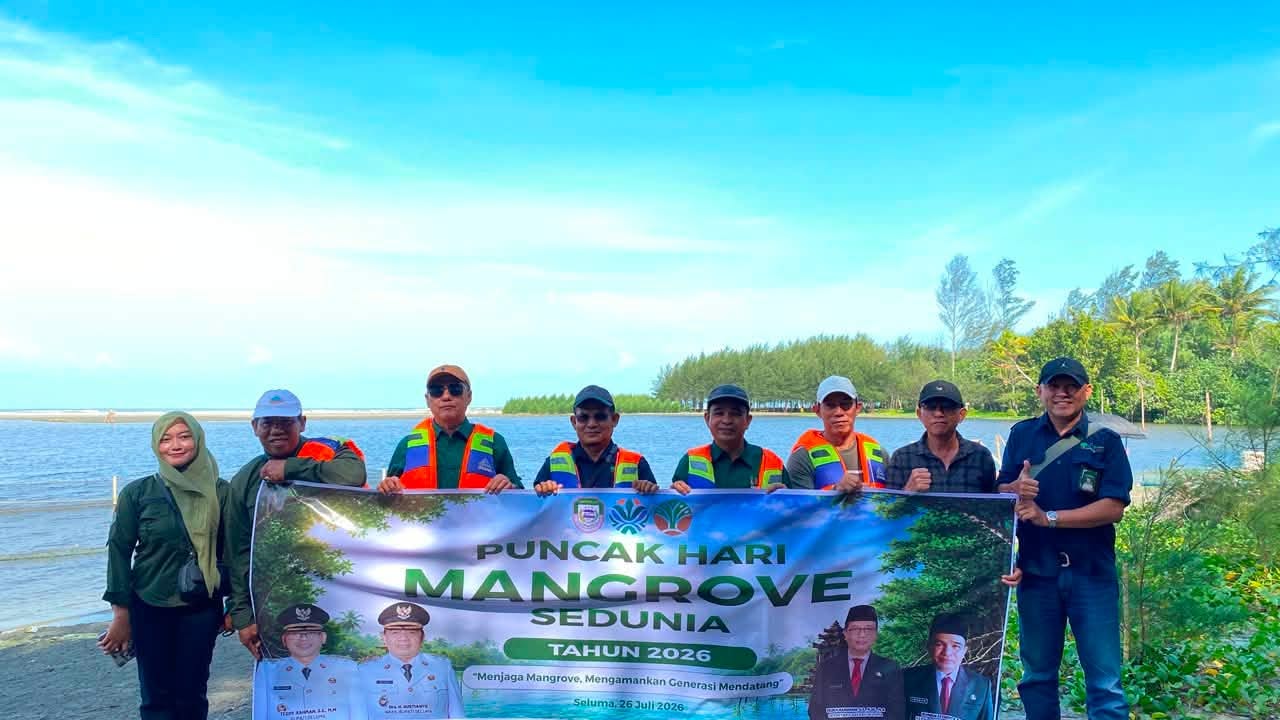 Pemkab Seluma Tanam Mangrove di Hari Mangrove Sedunia, Perkuat Perlindungan Pesisir untuk Generasi Mendatang