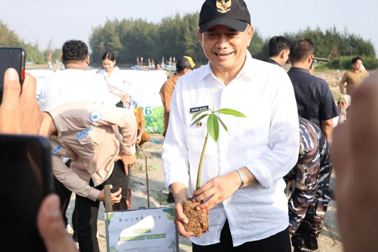 Bupati Bengkulu Tengah Pimpin Aksi Tanam Mangrove, Tekankan Warisan Lingkungan untuk Generasi Mendatang