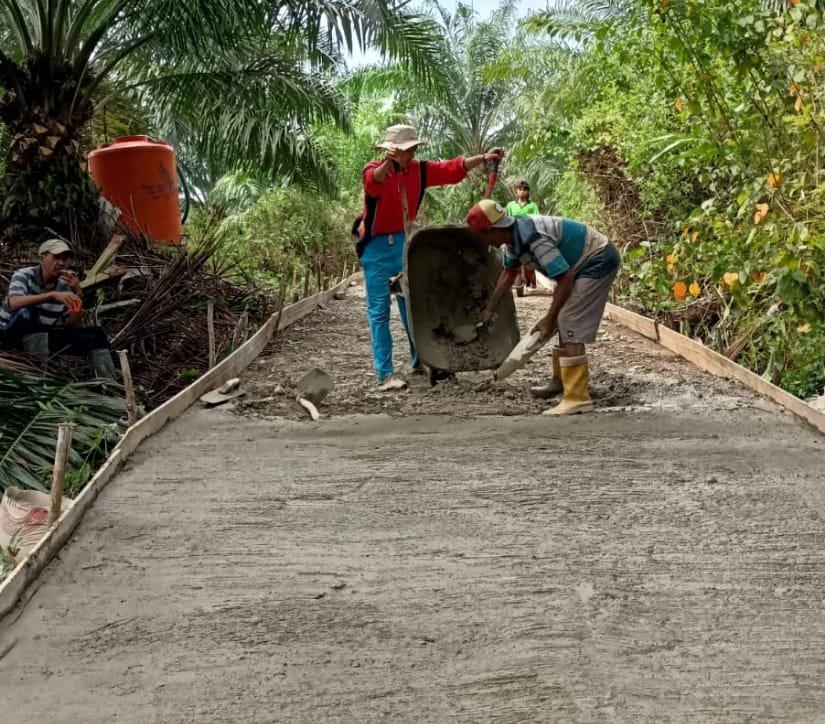 Pemdes Tanjung Pandan Rehabilitasi Jalan Usaha Tani, Akses Petani Kian Lancar